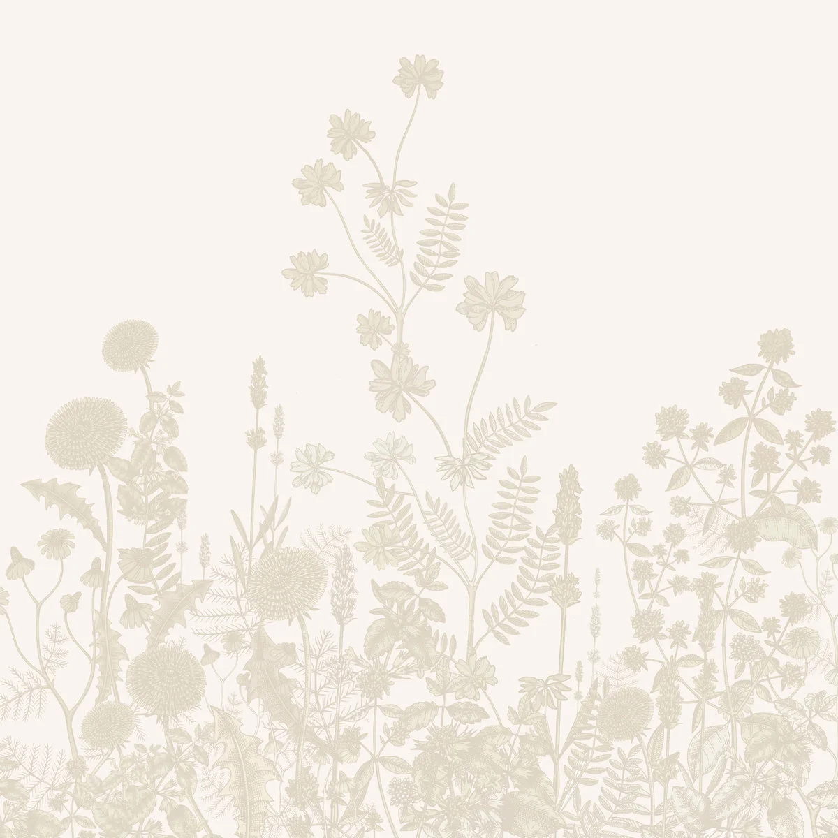 Botanical m · Papel tapiz
