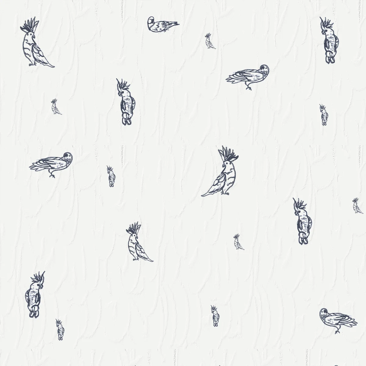 Parrot — papel tapiz del archivo